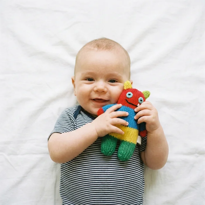 Rejected passport photo — refused — a toy held up to hold attention is in the frame